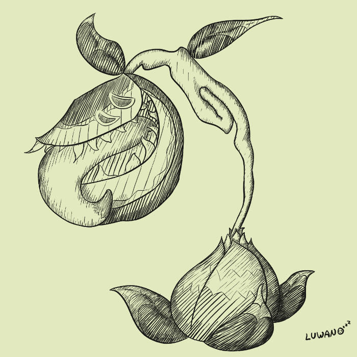 Boko Baba by Luwano on DeviantArt