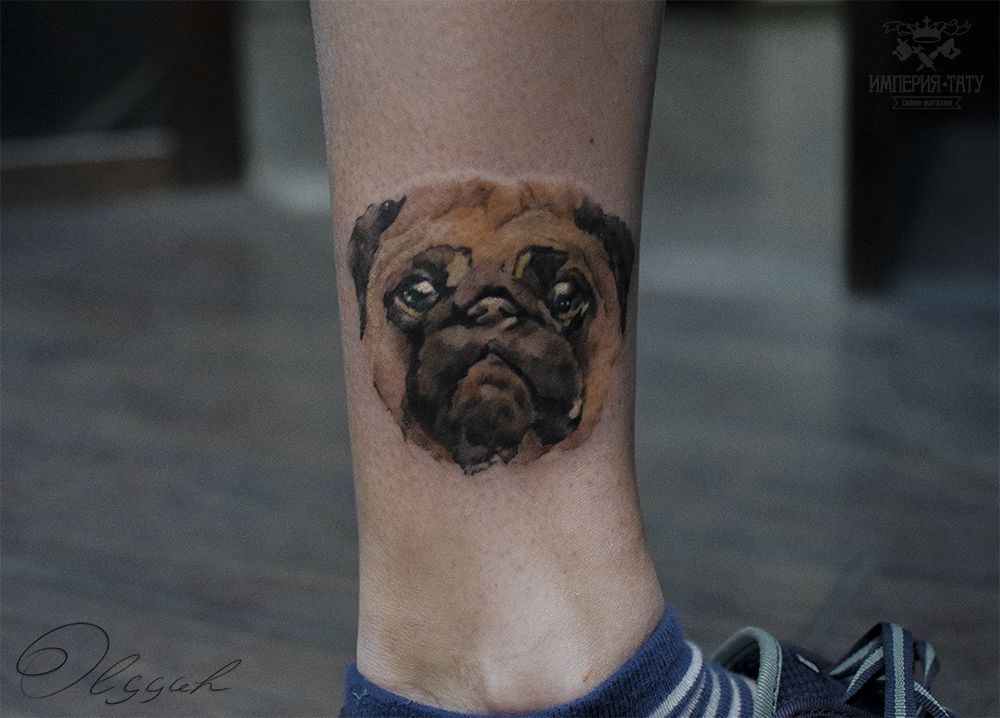 Pug