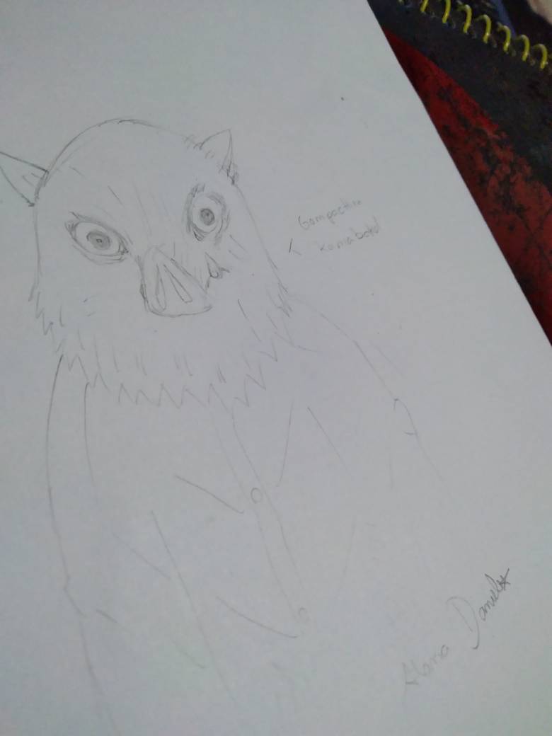 Inosuke by LanaDan on DeviantArt