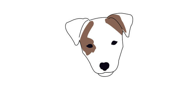 Jack Russell Terrier