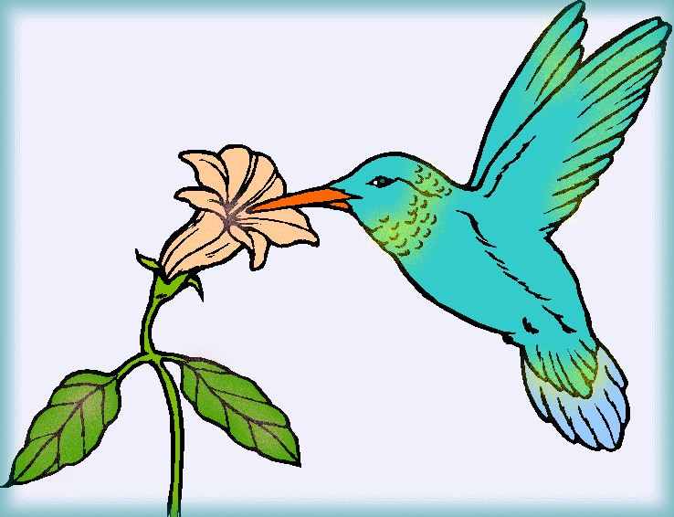 Magic hummingbird for CecilyAndreuArtwork