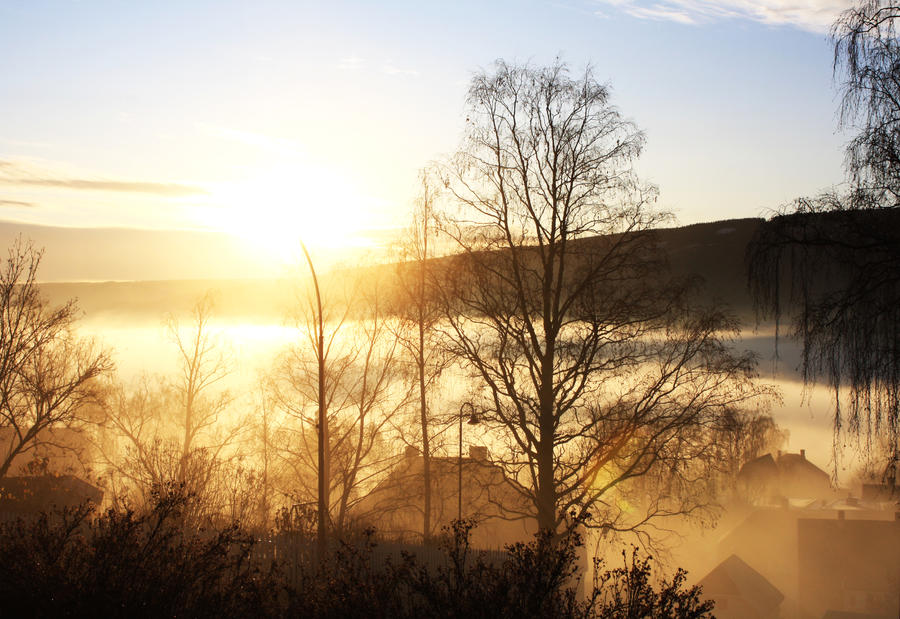 Foggy sun