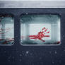 All Hands Aboard