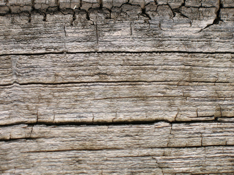 Wood Grain Texture 9