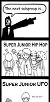 Super Junior Subgroups