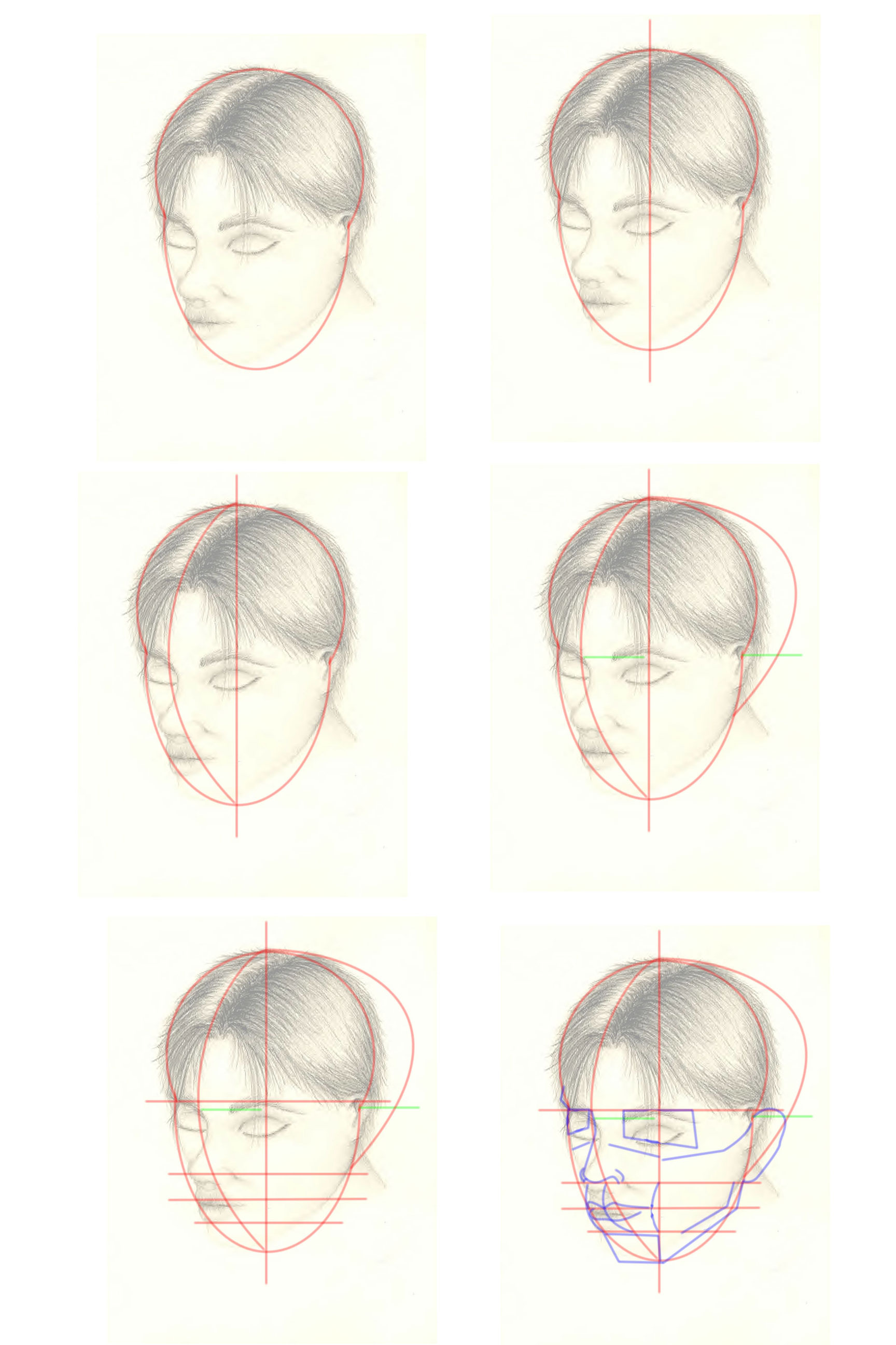 Head Anatomy Critque-Tutorial