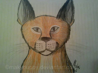 Caracal