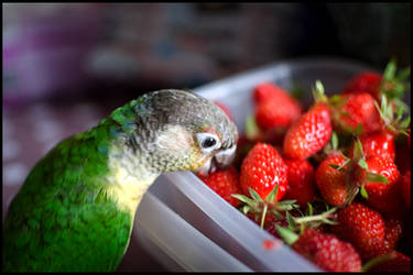 Strawberries ! 2