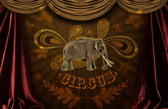 Circus Circus