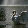 The king of the lake.