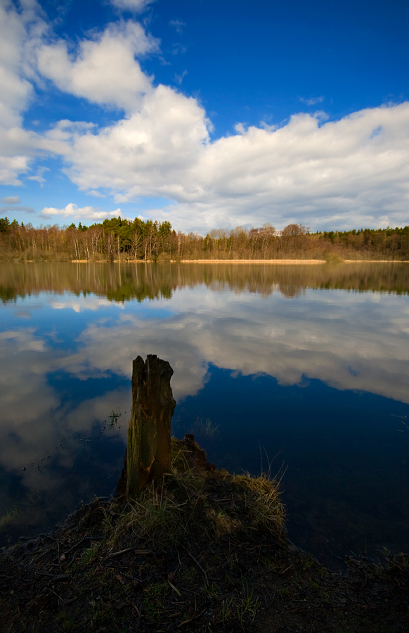 Judarskogen V