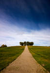 The Woodland Cemetery. by calleartmark