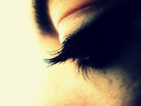 My Lashes