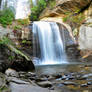 Looking Glass Falls II