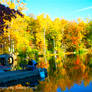 Lake Susan Fall Colors 6780