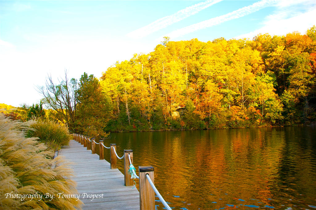 Golden Waters