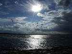 Shore by marmotpl