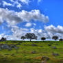 Rocky Field In Spain