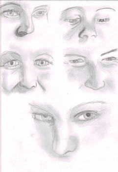 Noses and Eyes