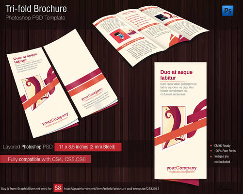 Tri Fold Brochure Photshop PSD Template for 1 USD