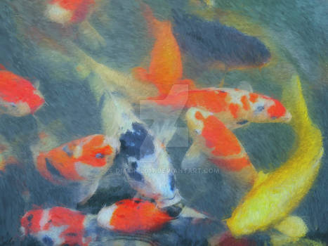 Koi Pond