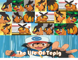 The Life Of Tepig