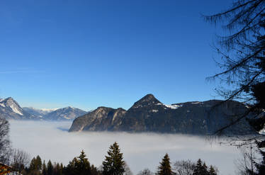 Fog under blue sky