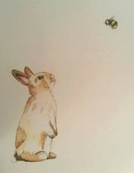 watercolor rabbit