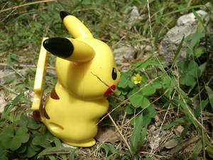 Pikachu with a small yellow flower :3