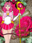Sailor Kingdom Guardian (Kaleidoscope Background)