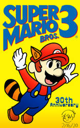 Happy 30th Anniversary Super Mario Bros. 3!