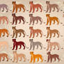 25 Lioness Adopts - PayPal - THREE LEFT