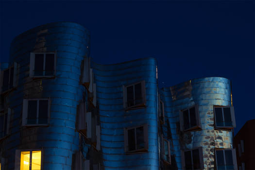 Silver Gehry House