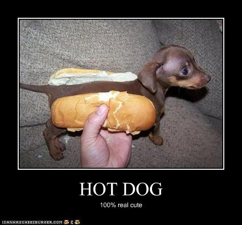 hot dog