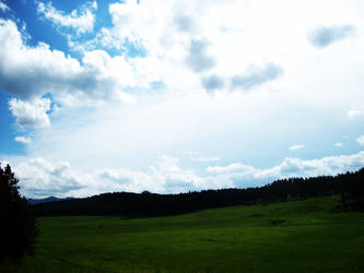 South Dakota Fields