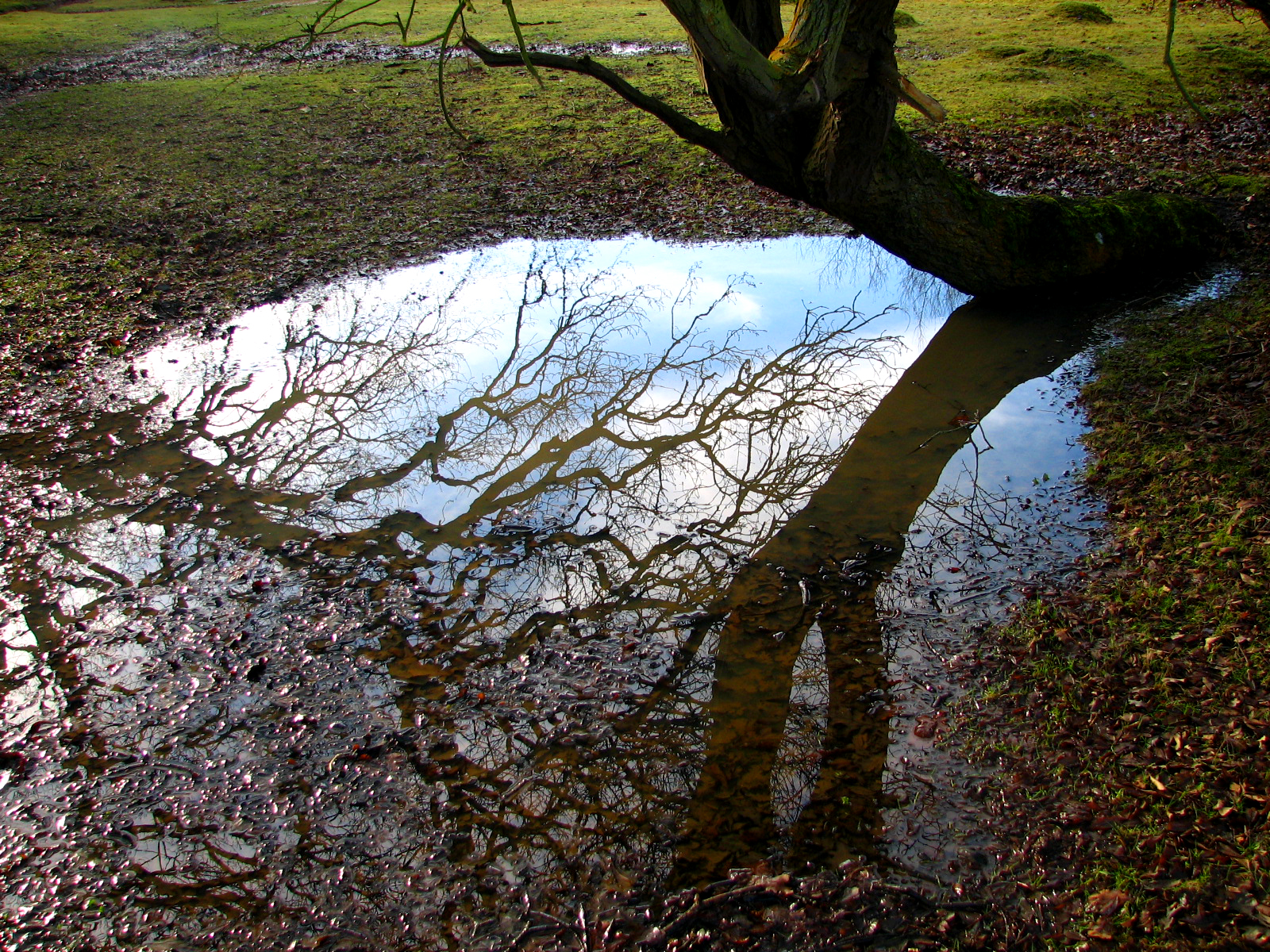 Puddle