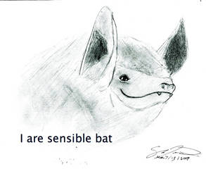 Sensible Bat