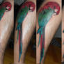 papagan parrot tattoo