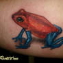 poisoned frog tattoo