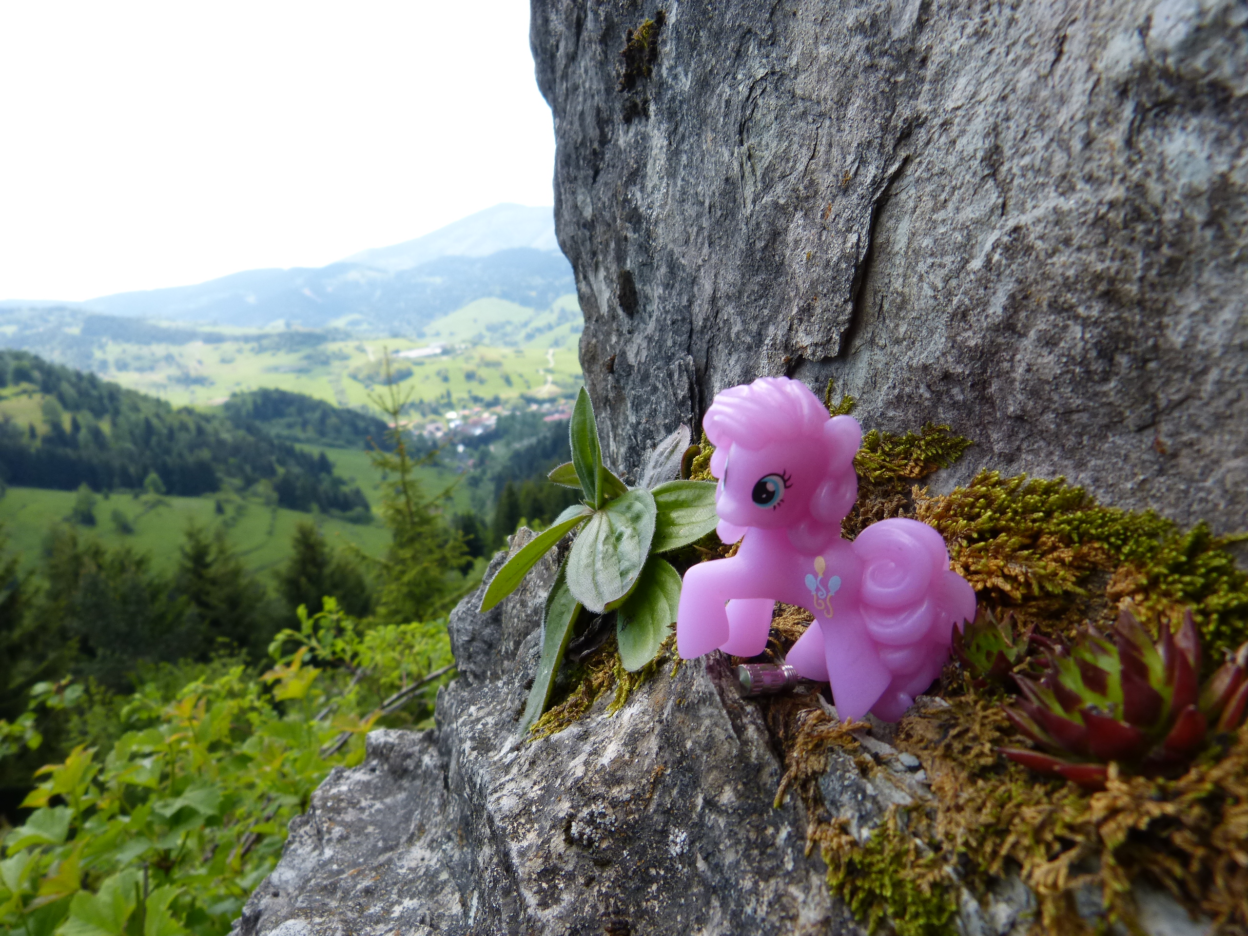 Pinkie Pie at klippe