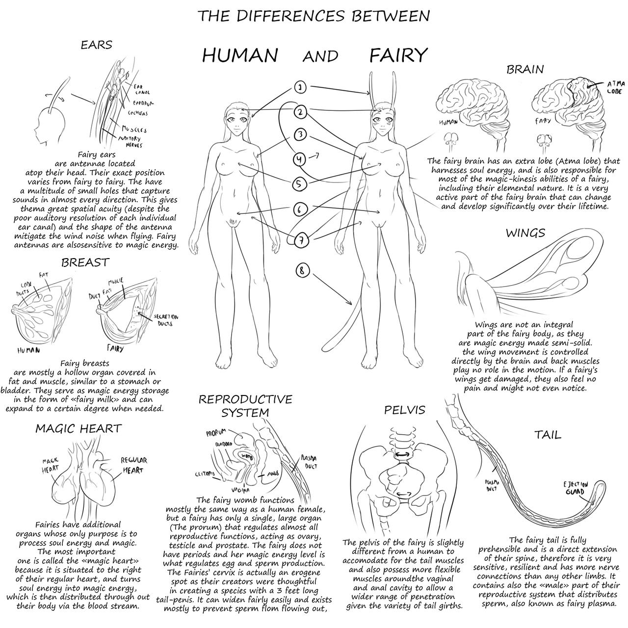 Faeries Body Fairy anatomy (sketch) by EldrikDGT on DeviantArt