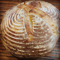 SanTana Sourdough