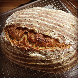 Sourdough 6-28-13