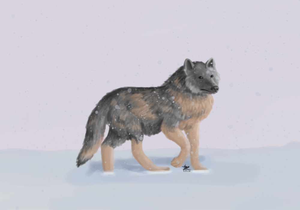 Walking through the snow