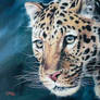 CHINESE LEOPARD