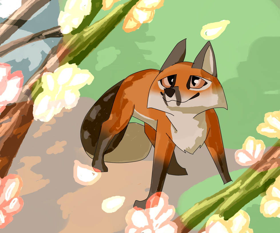 Fox And Spring