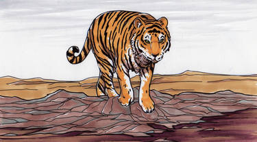 tiger