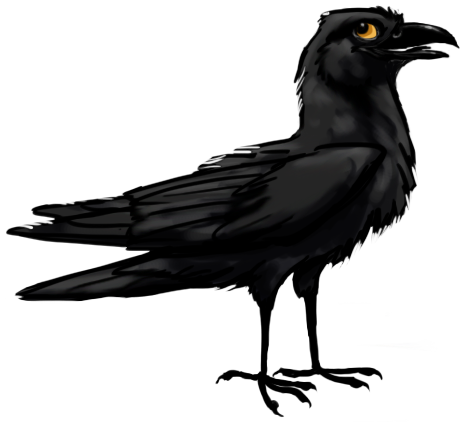 Crololololow Crow for Avani