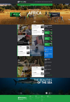 Web design - Discovery channel concept