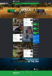 Web design - Discovery channel concept